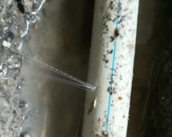 天等卫生间测漏水多少钱